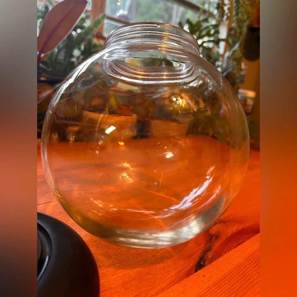 Vintage P. M. Inc. Lewis P Weil Flower Frog Arrangement Glass Globe